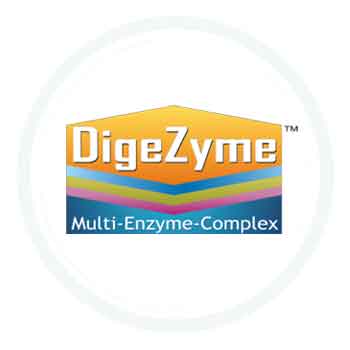 DigeZyme : un actif breveté contenu dans les produits de la gamme PERMEA REGUL®